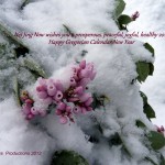 Happy Gregorian New Year 2013