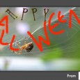 On Halloween Eve, All Hallow’s Eve, thousands of children all across North America disguise themselves in costumes and go door […]