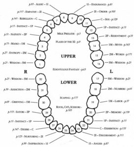 teethcontents