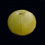 Long Live Triphala, Long Live Us!