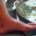 Has it been a long time since you’ve had your seat in a bicycle saddle? Maybe you don’t even know […]