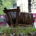 Quality of thoughts determine the quality of your work, according to Mr. Somnath Kakade, a renowned tabla maker based in Pune, […]