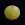 Long Live Triphala, Long Live Us!